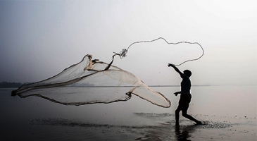 Bangladesh launches world’s first country investment plan to tackle challenges to environment, forestry and climate change